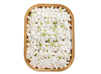 Key lime frozen pie